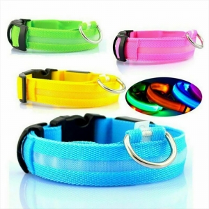 Led pet collar