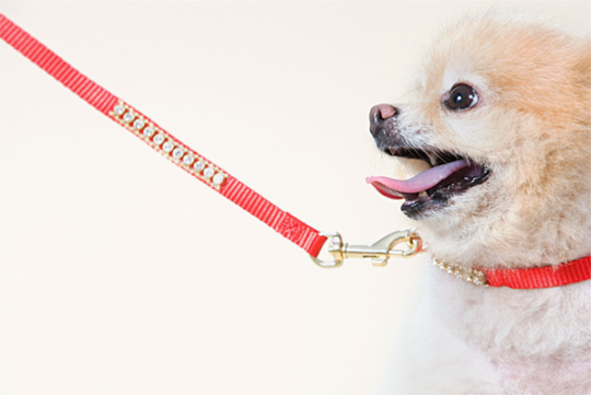 Multfunctional Dog Training Leads