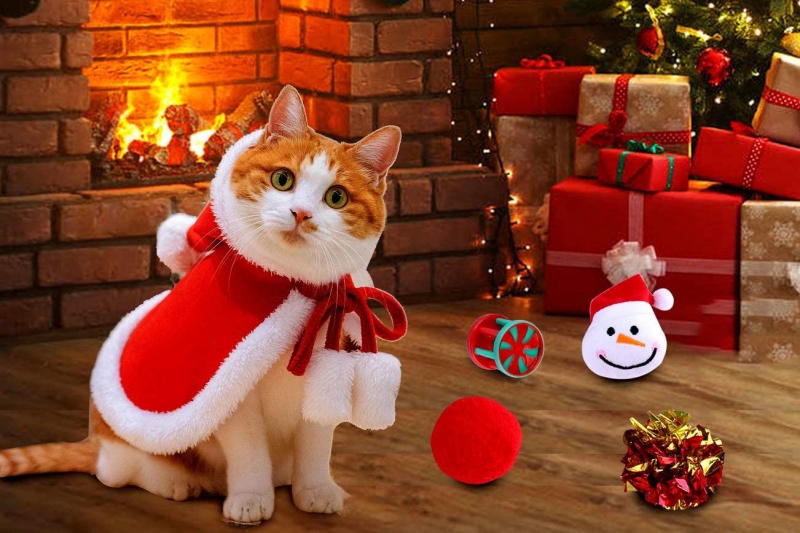 CHRISTMAS CAT TOY
