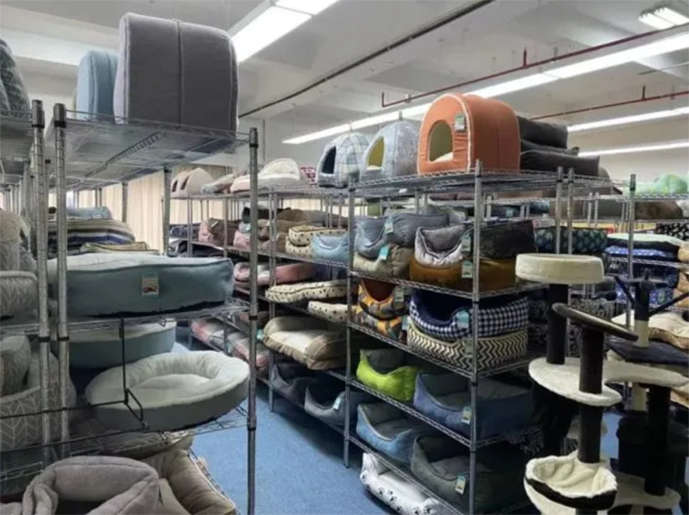 Pet Bed Sample Room.png